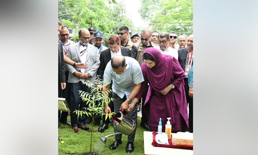 কলেজ অডিটোরিয়াম চত্বরে একটি বৃক্ষ রোপণ করেন প্রধানমন্ত্রী।